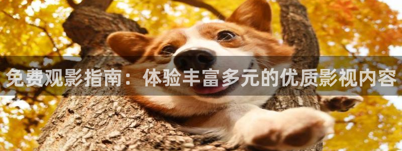 麻豆电影在线免费：免费观影指南：体验丰富多元的优质影视内容