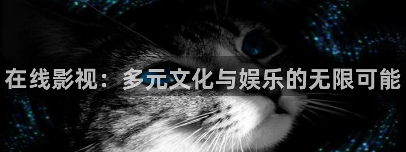 麻豆影视同事：在线影视：多元文化与娱乐的无限可能