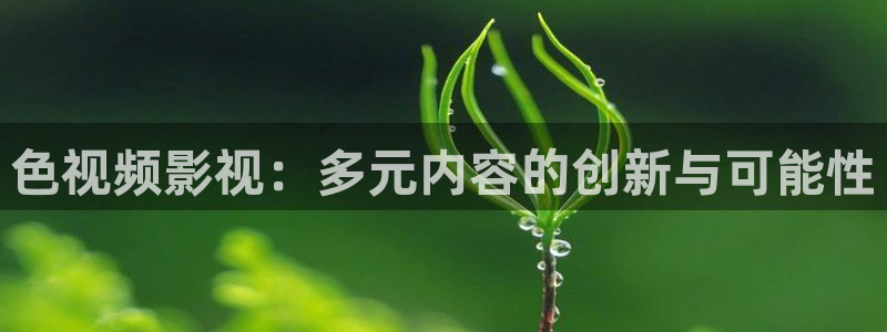 麻豆 看片：色视频影视：多元内容的创新与可能性