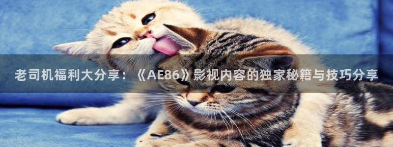视频麻豆：老司机福利大分享：《AE86》影视内容的独家秘籍与技巧分享