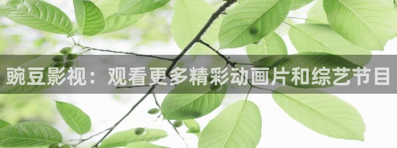 麻豆影视mv高清完整版在线观看：豌豆影视：观看更多精彩动画片和综艺节目