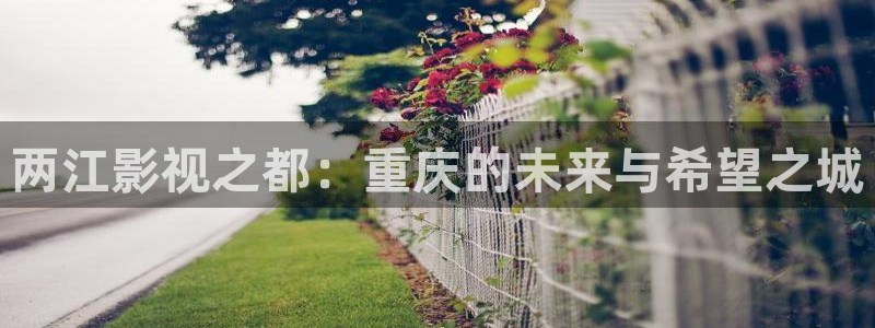 国产麻豆精品视频免费观看：两江影视之都：重庆的未来与希望之城