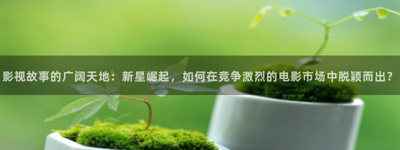 国产麻豆电影观看：影视故事的广阔天地：新星崛起，如何在竞争激烈的电影市场中脱颖而出？