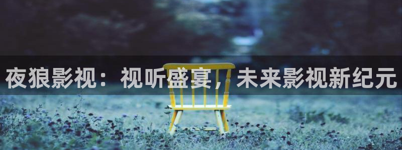 麻豆电影在线：夜狼影视：视听盛宴，未来影视新纪元