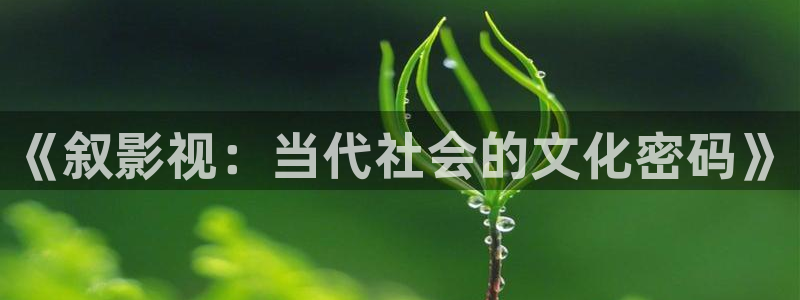 91高清麻豆：《叙影视：当代社会的文化密码》