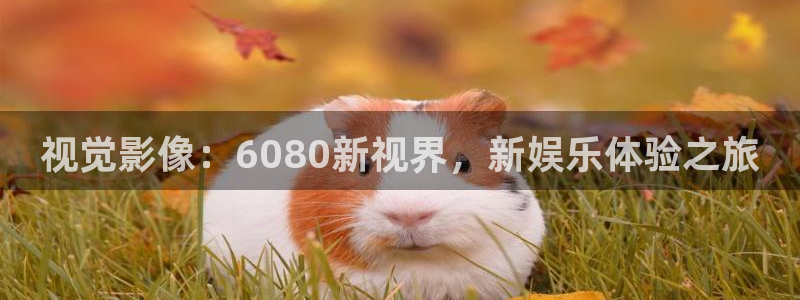 麻豆日韩电影：视觉影像：6080新视界，新娱乐体验之旅