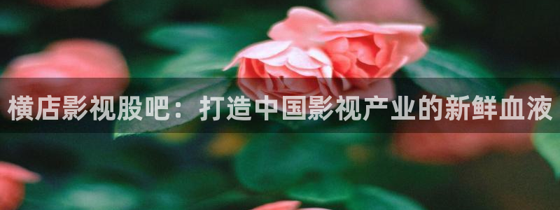 麻豆精品视频免费观看：横店影视股吧：打造中国影视产业的新鲜血液
