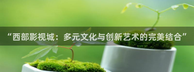 97视频人人爱麻豆：“西部影视城：多元文化与创新艺术的完美结合”